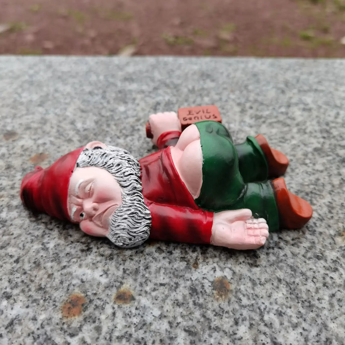 Funny Garden Gnome | Resin Yard Gnomes, Statues & Figurines | Indoor & Outdoor | Weatherproof Ornaments | Garden Gift Idea