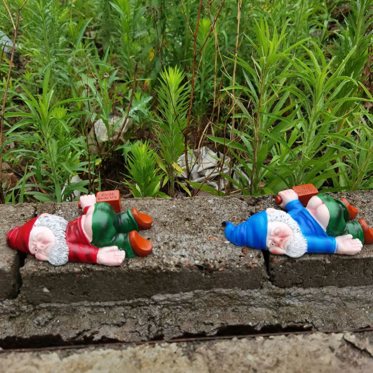 Funny Garden Gnome | Resin Yard Gnomes, Statues & Figurines | Indoor & Outdoor | Weatherproof Ornaments | Garden Gift Idea